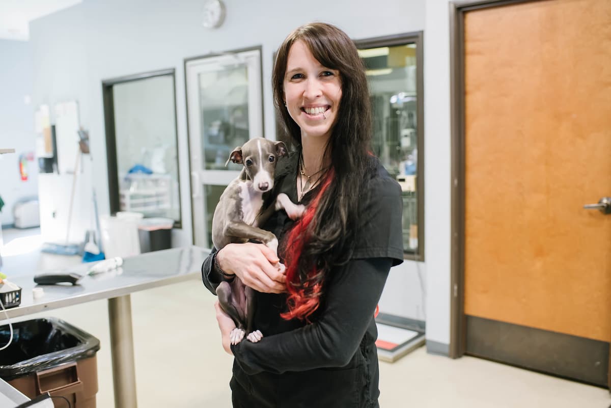 family pet vet mclaren vale